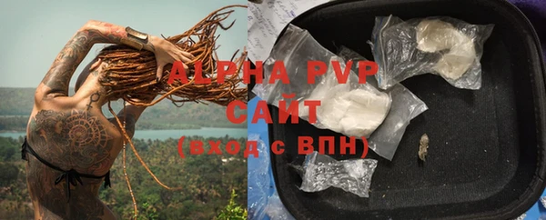 прущие грибы Богородицк