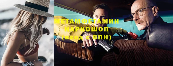 прущие грибы Бронницы