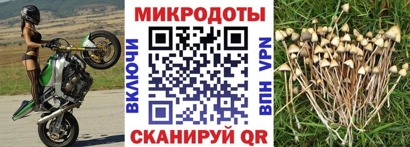 Галлюциногенные грибы Magic Shrooms  Звенигород 